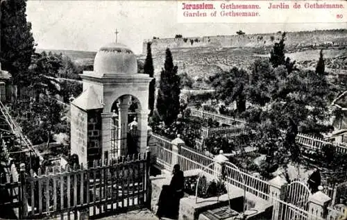 Ak Jerusalem Israel, Gethsemane, Gartenanlagen