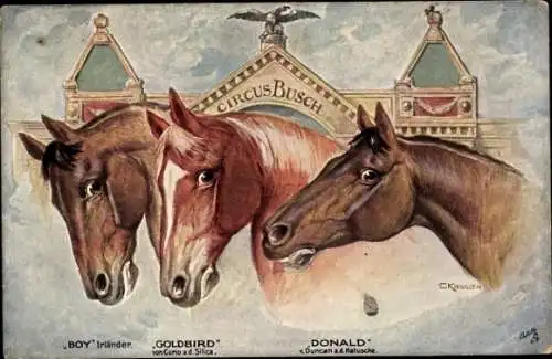 Künstler Ak Circus Busch, Pferde, Boy, Goldbird, Donald