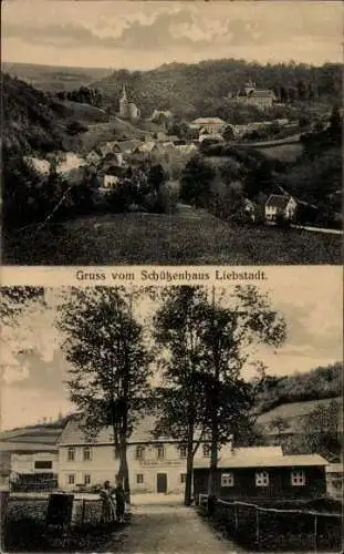 Ak Liebstadt Erzgebirge Sachsen, Totalansicht, Schützenhaus