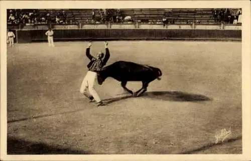 Ak Stierkampf, Torero vom Stier angegriffen, Arena