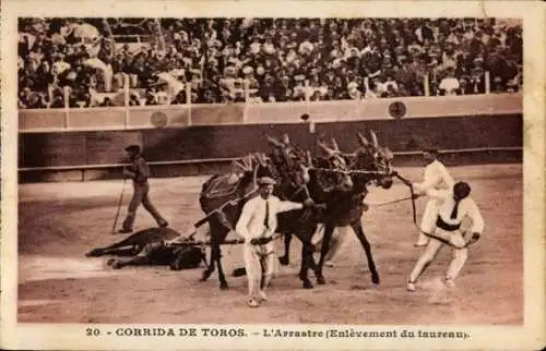 Ak Bullfight, L'Arrastre, Enlevement du taureau