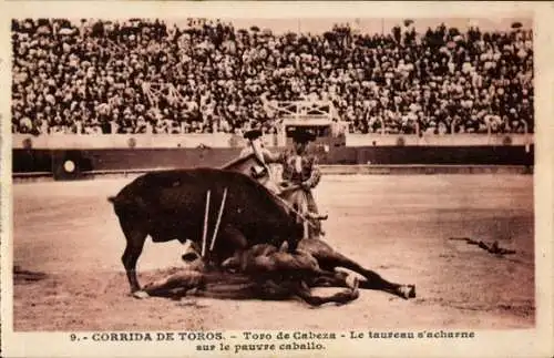 Ak Stierkampf, Cabaza Bull