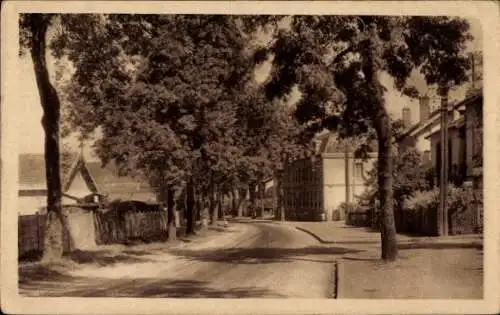 Ak Marnaval Saint Dizier Haute Marne, Rue de Joinville