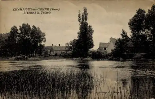 Ak Champigny sur Yonne, L'Yonne à la Tuilerie