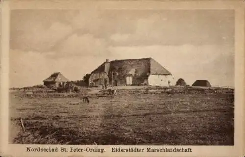 Ak Sankt Peter Ording in Nordfriesland, Eiderstädter Marschlandschaft, Friesenhaus