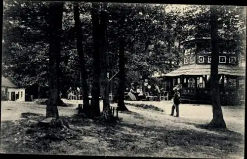 Ak Collm Wermsdorf in Sachsen, Collmberg, Gastwirtschaft