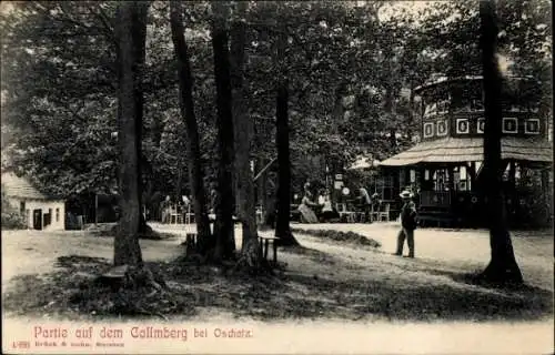 Ak Collm Wermsdorf in Sachsen, Collmberg, Gastwirtschaft