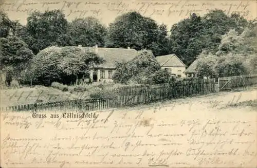 Ak Köllnischfeld Cöllnischfeld Springe am Deister, Bauernhof