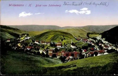 Ak Wildemann Clausthal Zellerfeld im Oberharz, Blick vom Schöneberg