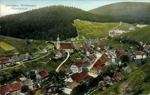 Ak Wildemann Clausthal Zellerfeld im Oberharz, Gesamtansicht aus der Vogelschau