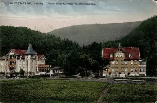 Ak Lautenthal Langelsheim im Oberharz, Kurhaus Waldschlösschen