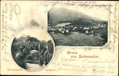 Ak Badenweiler im Schwarzwald, Gesamtansicht, Schwanenteich, Ruine, Hotel Sommer