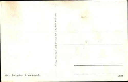 Ak Euskirchen in Nordrhein Westfalen, Schwanenteich