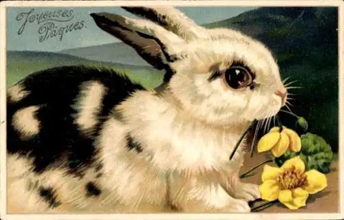 Präge Litho Glückwunsch Ostern, Kleiner schwarz-weißer Hase