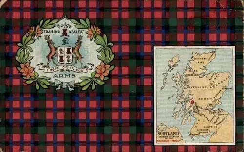 Wappen Ak Schottland, Abzeichen Azalee