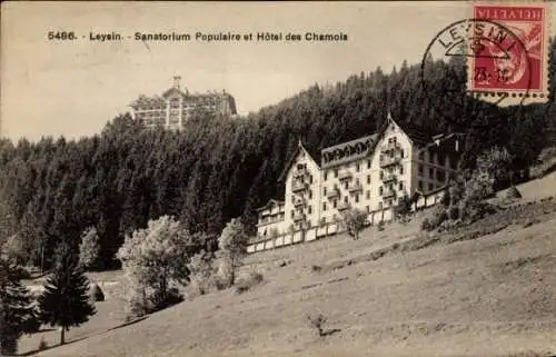 Ak Leysin Kanton Waadt, Sanatorium Populaire, Hotel des Chamois