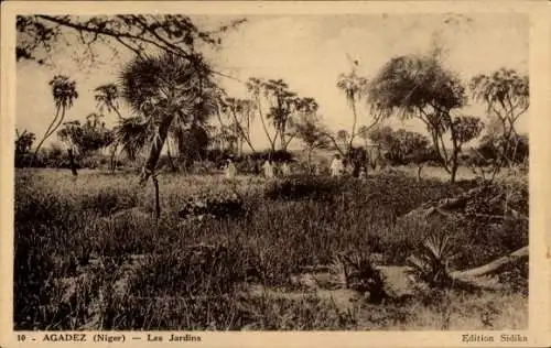Ak Agadez Niger, die Gärten