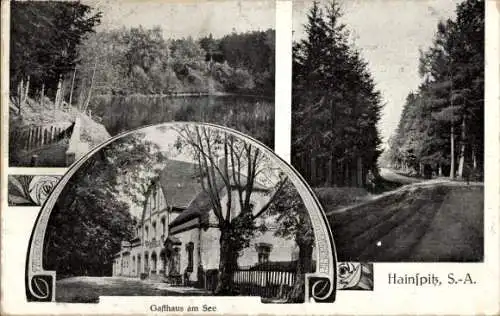 Ak Hainspitz Thüringen, See, Wald, Gasthaus am See