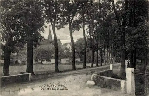 Ak Braunschweig in Niedersachsen, Allee, Riddagshausen