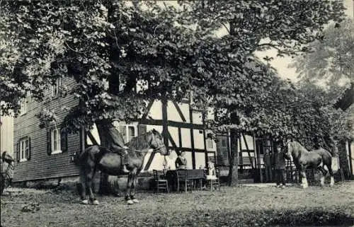 Ak Hochwald Waldbröl im Oberbergischen Land, Gasthof Mittler, Pferde