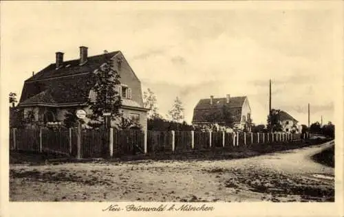 Ak Neu Grünwald bei München, Straße, Häuser