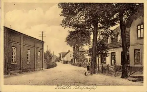 Ak Kalübbe in Holstein, Dorfstraße