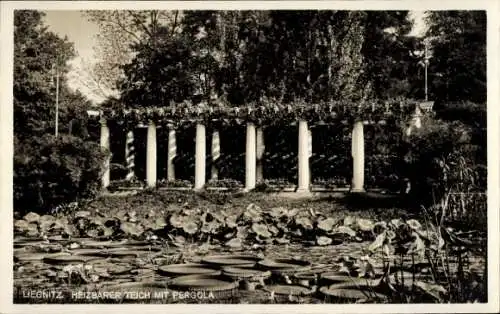 Ak Legnica Liegnitz Schlesien, Heizbarer Teich, Pergola