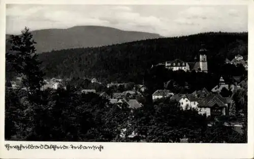 Ak Polanica Zdrój Bad Altheide Schlesien, Gesamtansicht