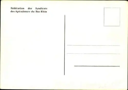 Ak Elsässerin, Elsässer Tracht, Werbung