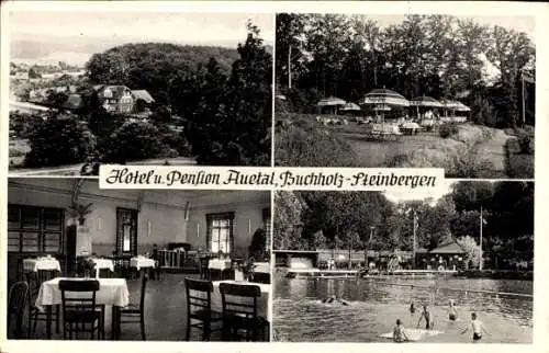 Ak Buchholz Steinbergen Rinteln an der Weser, Hotel und Pension Auetal, Gastraum, Freibad