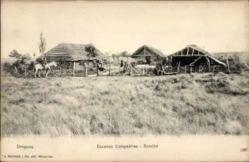 Ak Uruguay, Landszenen, Ranch