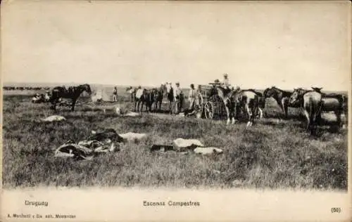 Ak Uruguay, Landschaften