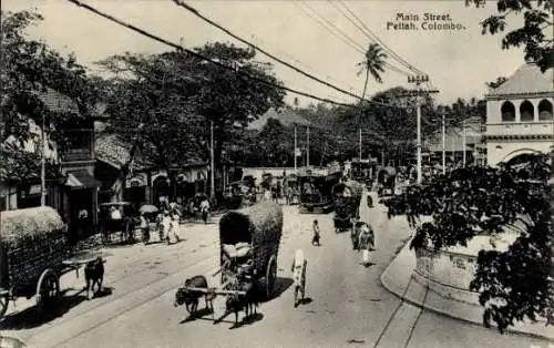 Ak Pettah Colombo Ceylon Sri Lanka, Verkehr auf der Hauptstraße, Rinderkarren