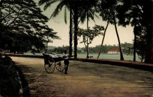 Ak Ceylon Sri Lanka, Rikscha Fahrer, Kandy See