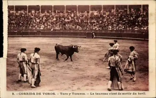 Ak Stierkampf, Stier und Stierkämpfer