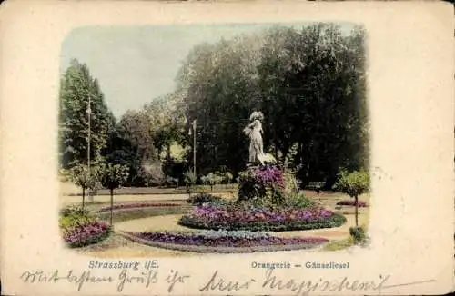 Ak Strasbourg Straßburg Elsass Bas Rhin, Orangerie, Gänseliesel