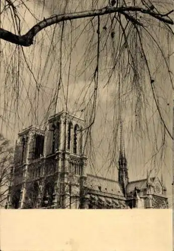 Ak Paris IV Ile de la Cité, Cathédrale Notre Dame