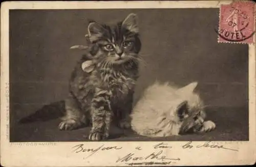 Ak Zwei kleine Kätzchen, Katzen