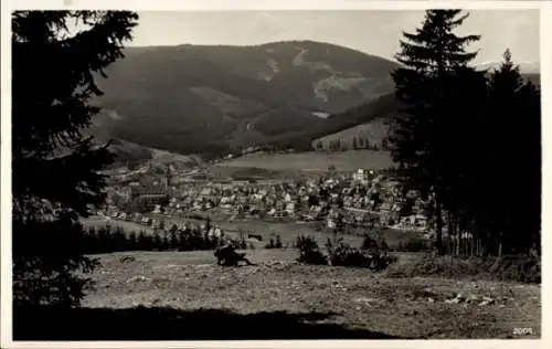 Ak Neustadt im Schwarzwald, Panorama