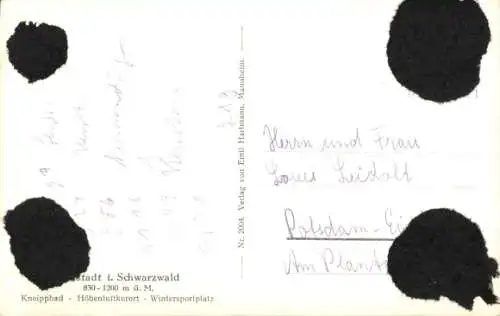 Ak Neustadt im Schwarzwald, Panorama