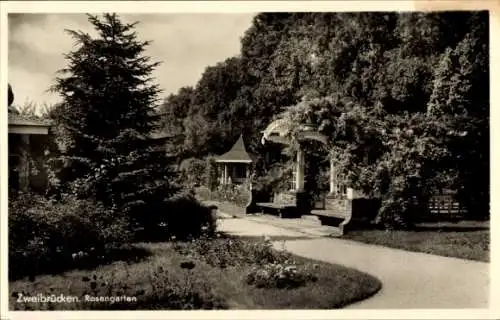 Ak Zweibrücken in der Pfalz, Rosengarten