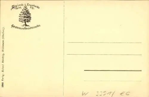 Ak Wildemann Clausthal Zellerfeld im Oberharz, Oberer Teil, Panorama