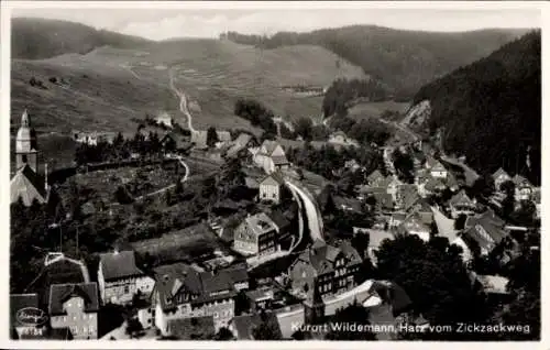 Ak Wildemann Clausthal Zellerfeld im Oberharz, Blick vom Zickzackweg, Panorama