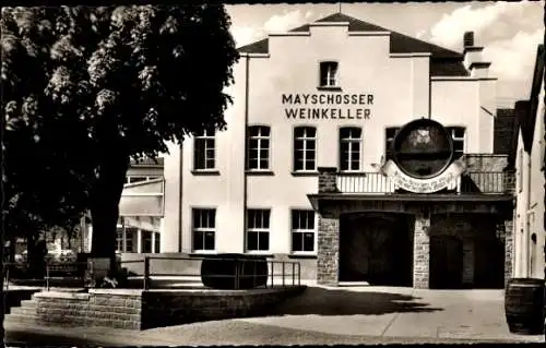 Ak Mayschoß an der Ahr, Mayschosser Winzer-Verein, Mayschosser Weinkeller, Fass