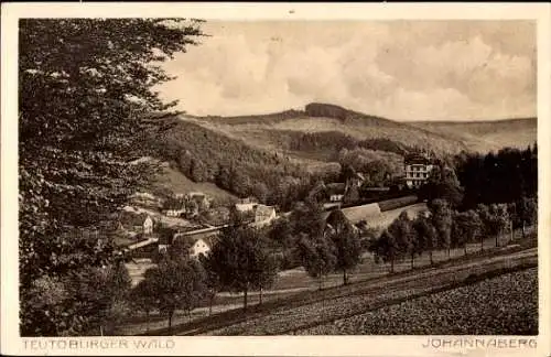 Ak Johannaberg Berlebeck Detmold im Teutoburger Wald, Panorama