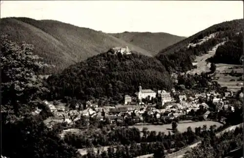 Ak Leutenberg Thüringen, Panorama
