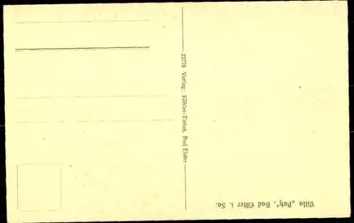 Ak Bad Elster im Vogtland, Villa Patz, Außenansicht