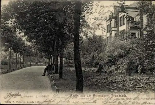 Ak Apolda in Thüringen, Herressener Promenade, Allee