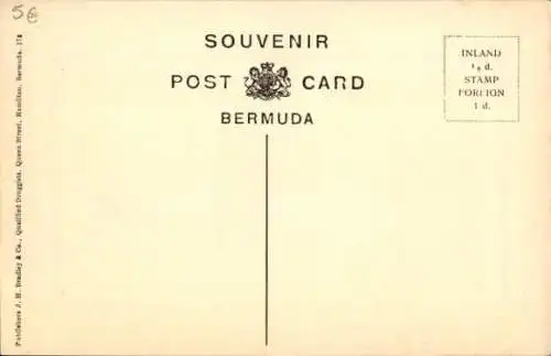 Ak Bermuda, Straße am Mount Langton