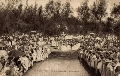 Ak Madagaskar, Betsileo-Land, Sänger